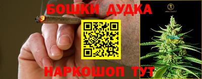 прущий лед Будённовск