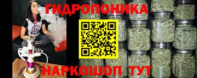 ECSTASY Балахна