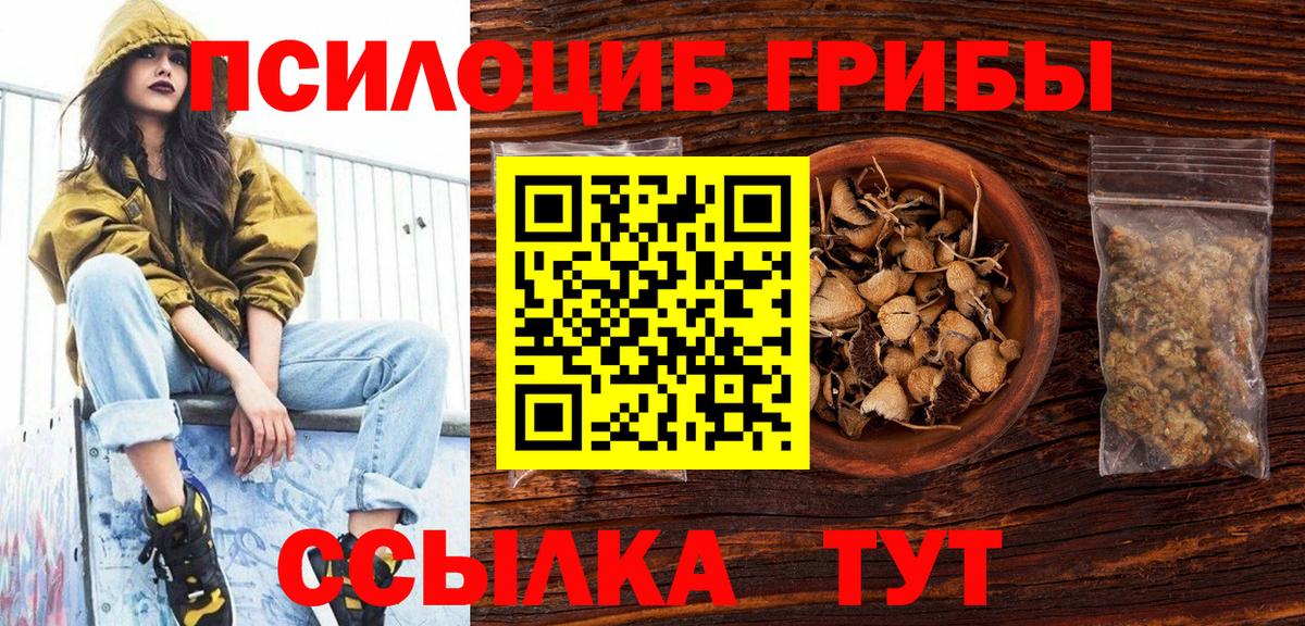 Екатеринбург  Галлюциногенные грибы мицелий  Псилоцибиновые грибы прущие грибы  Вход с VPN 