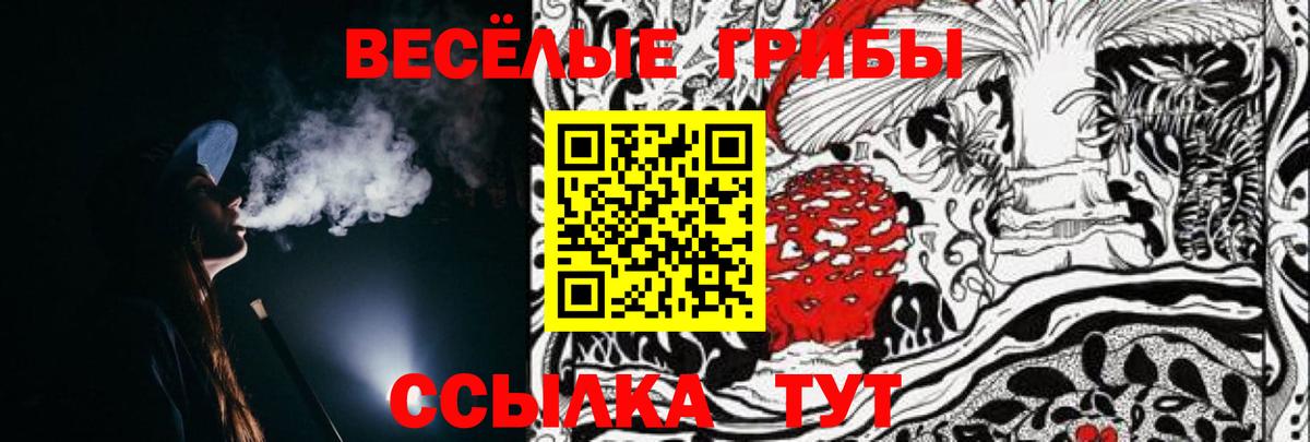 Галлюциногенные грибы прущие грибы Екатеринбург